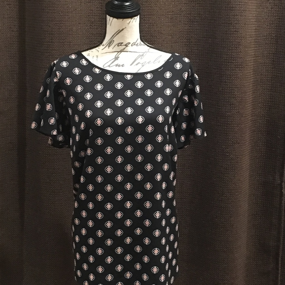 Ann Taylor LOFT Plus Size 22 blouse